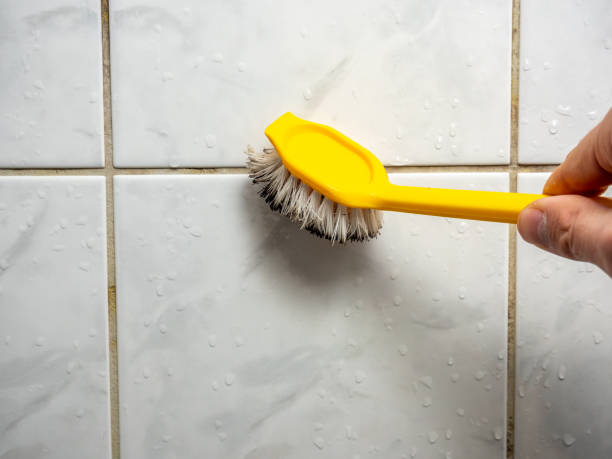 Best Residential Mold Removal  in Riverside, MO