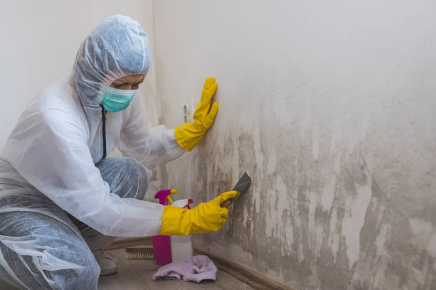 Best Certified Mold Removal  in Riverside, MO