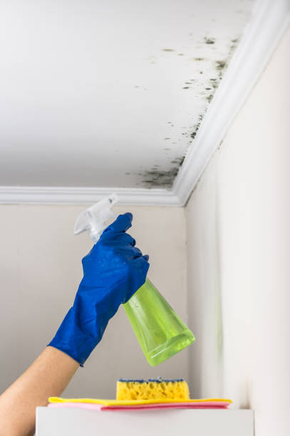 Best Mold Testing  in Riverside, MO